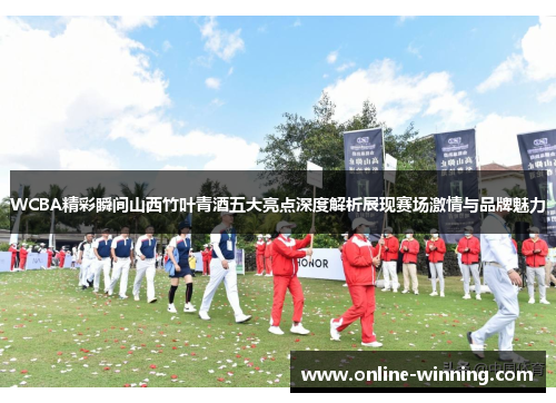 WCBA精彩瞬间山西竹叶青酒五大亮点深度解析展现赛场激情与品牌魅力