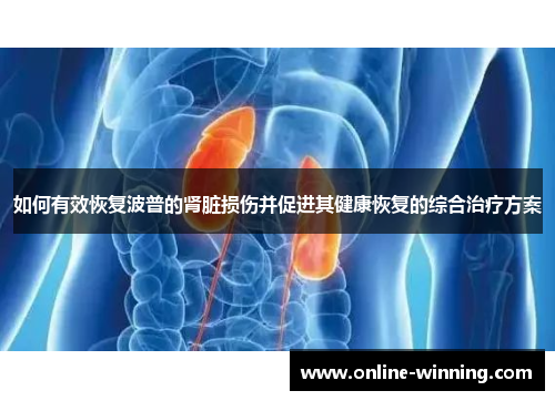 如何有效恢复波普的肾脏损伤并促进其健康恢复的综合治疗方案